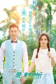 Love, Just Come tv show poster