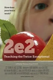 2e2: Teaching the Twice Exceptional movie poster