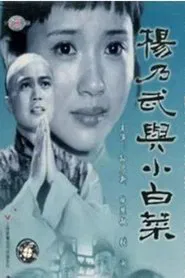 杨乃武与小白菜 tv show poster