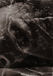 Poster do filme After Psycho Shower