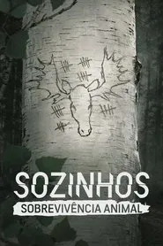 Poster da série Sozinhos: Sobrevivência Animal