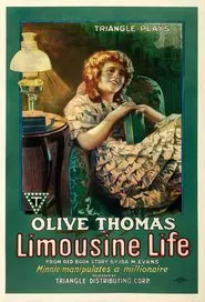 Poster do filme Limousine Life