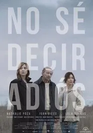 Can't Say Goodbye movie poster