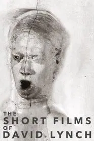 The Short Films of David Lynch movie poster