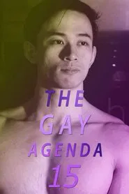 The Gay Agenda 15 movie poster