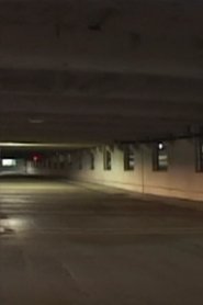 Poster do filme Odysseus in Ithaca