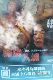 Illegal Entry movie poster