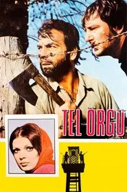 Poster do filme Tel Örgü