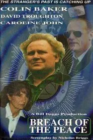 The Stranger: Breach of the Peace movie poster
