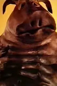 Near the Puddle movie poster