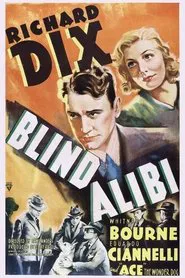 Blind Alibi movie poster