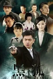 Black Fox tv show poster