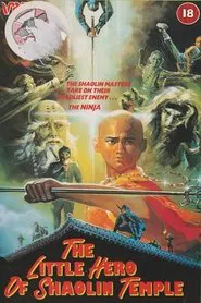 The Little Hero of Shaolin Temple movie poster