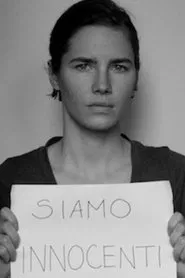 The Amanda Knox Saga movie poster