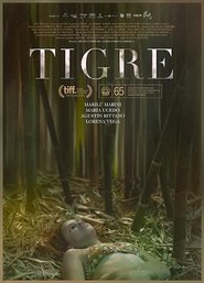 Tigre movie poster