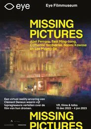 Poster do filme Missing Pictures