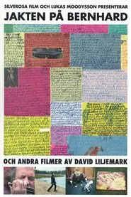 Poster do filme The Search for Bernhard