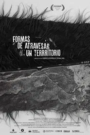 Ways to Traverse a Territory movie poster