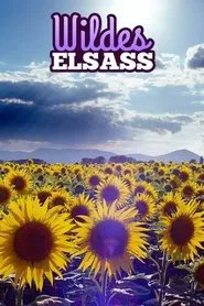 Wildes Elsass movie poster