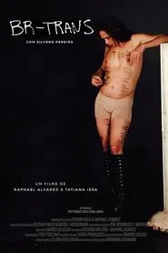 Poster do filme BR Trans