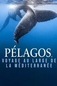 Pélagos, voyage au large de la Méditerranée movie poster