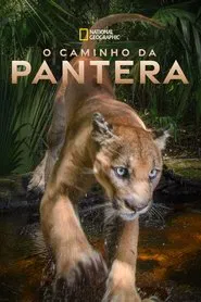 Poster do filme O Caminho da Pantera