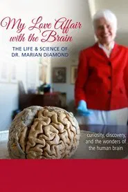 My Love Affair with the Brain movie poster