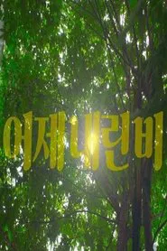 After the Rain movie poster