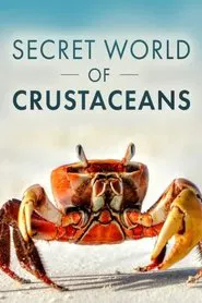 The Secret World of Crustaceans movie poster