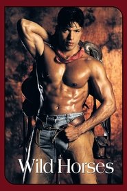 Wild Horses movie poster