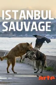 Istanbul sauvage movie poster