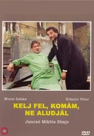 Wake Up, Mate, Don't You Sleep movie poster