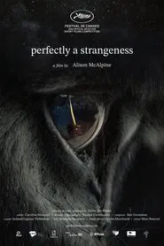 Perfectly A Strangeness movie poster