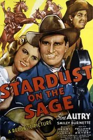 Stardust on the Sage movie poster