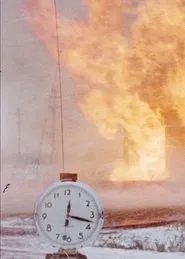 If All That Changes Quickly movie poster