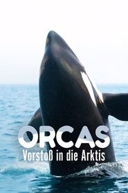 Orcas - Vorstoss in die Arktis movie poster