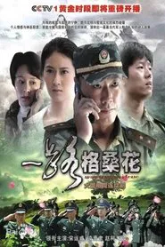 一路格桑花 tv show poster