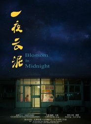 Blossom in Midnight movie poster