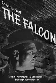 Adventures Of The Falcon tv show poster