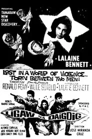 Poster do filme Ligaw na Daigdig