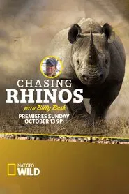 Poster do filme Em Busca de Rinocerontes
