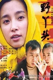 Poster da série 野丫头