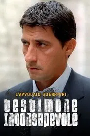 L'AVVOCATO GUERRIERI tv show poster