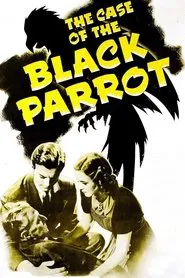 The Case of the Black Parrot movie poster