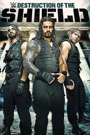 Poster do filme The Destruction of The Shield