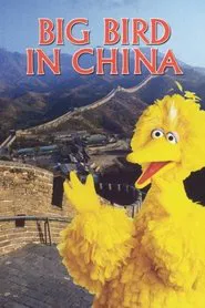 Big Bird in China movie poster