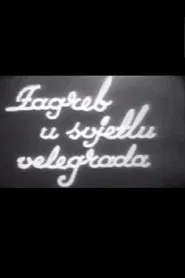Zagreb in a Metropolitan Light movie poster
