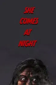 She Comes at Night movie poster