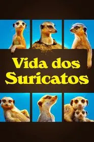 Poster da série Vida dos Suricatos
