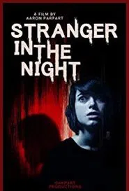 Poster do filme Stranger in the Night
